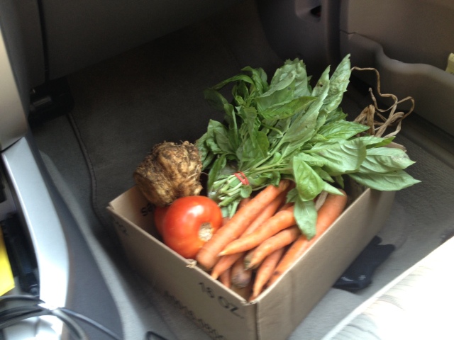 Front seat:  our CSA share, YUM!